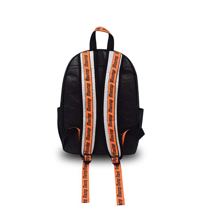 laptop backpack-backside