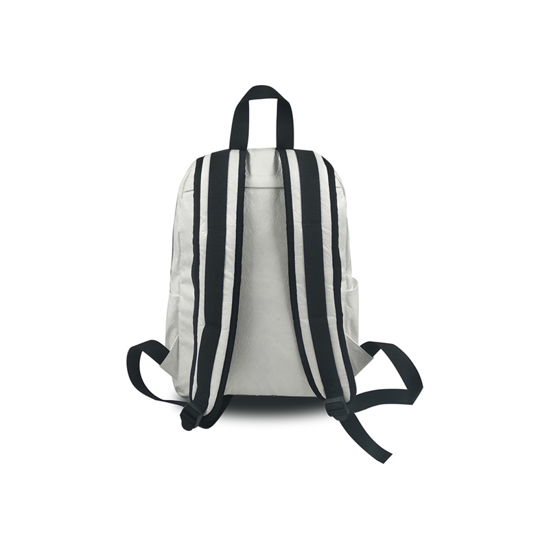 computer backpack-back